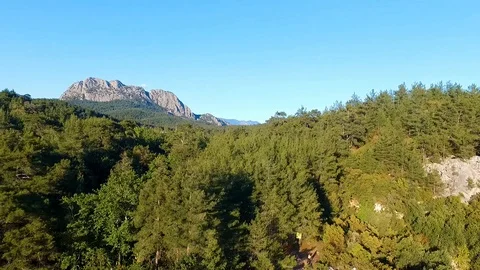 Trees on the Edge of the Cliff Aerial View Stock Footage 130106517