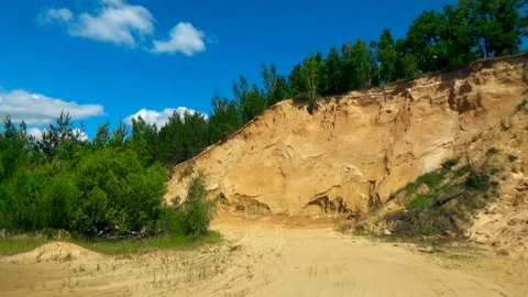 Trees on the edge of the cliff Stock Footage 91913760