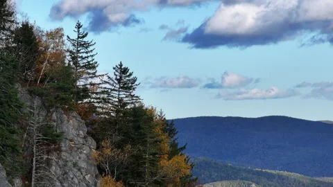 Trees on the edge of a cliff in the mountains Stock Footage 265800829