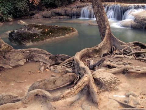 Trees at the edge of the waterfall Stock Photos