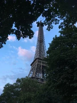 Trees with the Eiffel Tower peaking through Stock Photos