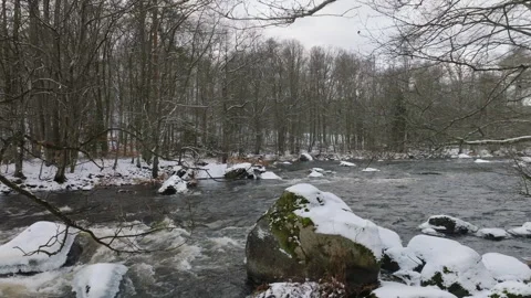Trees embrace icy river in winter Stock Footage 293693433