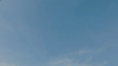 Trees in Empty Lot with Komtar Tower in the Background Video stock 48139262