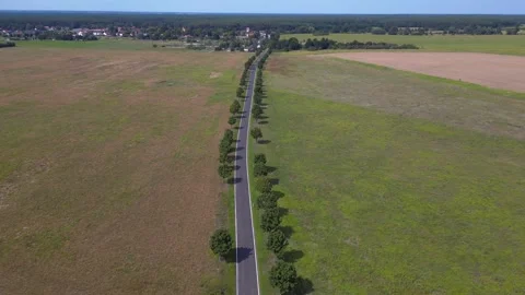 Trees on empty road, countryside between fields. Dramatic aerial view flight Stock Footage 299680404