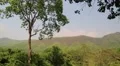 Trees in Erawan National Park in western Thailand HD Footage