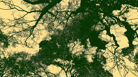 TREES ETCHING EFFECT Stock-Footage 148394310