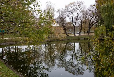 Trees with fallen leaves are reflected in the water of the city pond in late  Foto stock