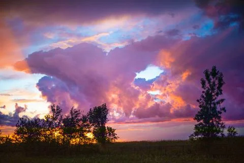 Trees on field against cloudscape Foto stock