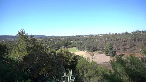 Trees with Field in the Distance Stock Footage 142490560