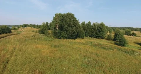 The trees in the field Stock Footage 86976445