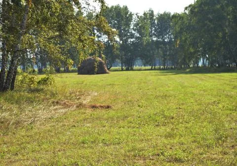 Trees, field, hay stack in the distance on a Sunny summer day Foto stock