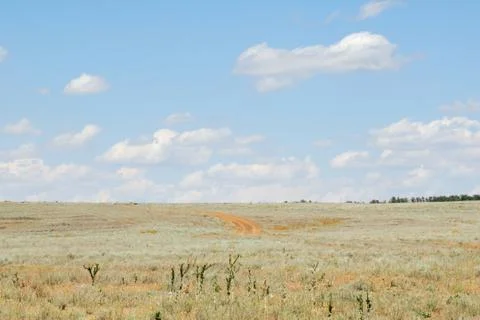 Trees in the field Stock Photos