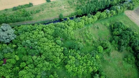 Trees field small river aerial view Video stock 134350252