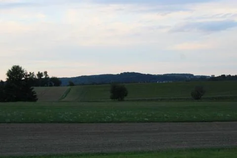 Trees with fields after sunset Foto stock