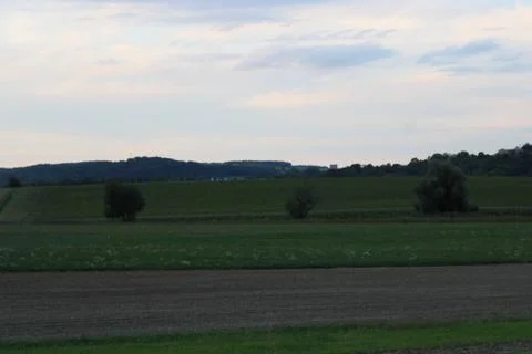 Trees with fields after sunset Stock Photos