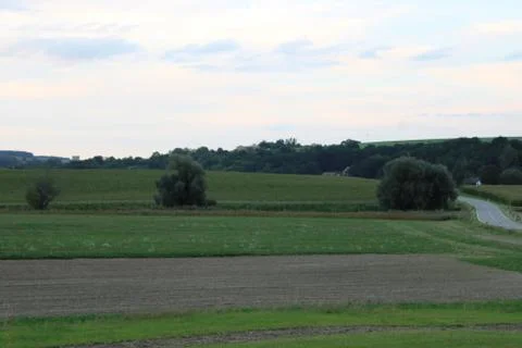 Trees with fields Foto stock