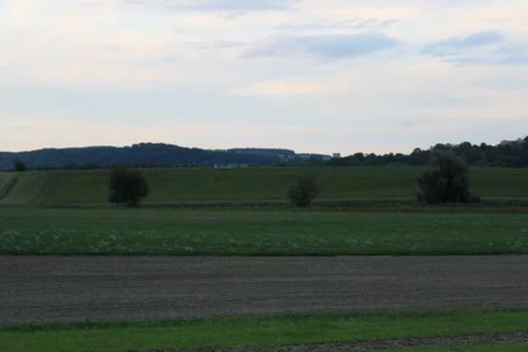 Trees with fields Stock Photos