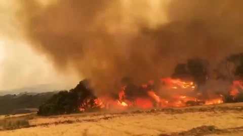Trees in flames, Alaskan forest fires destroying and causing air pollution. Stock Footage 172191927