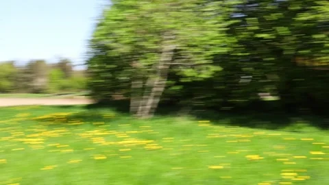 Trees flashing quickly in the park Stock Footage 308811311