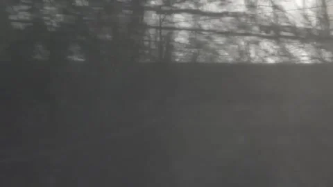 Trees flashing by the road Stock Footage 235131294