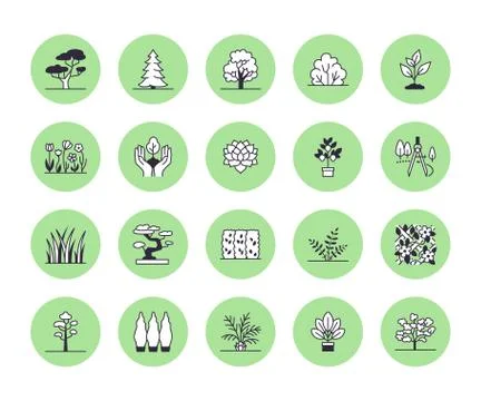 Trees flat line icons set. Plants, landscape design, fir tree, succulent Illustrazione stock