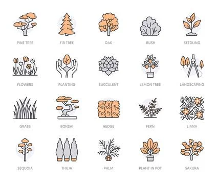 Trees flat line icons set. Plants, landscape design, fir tree, succulent Illustrazione stock