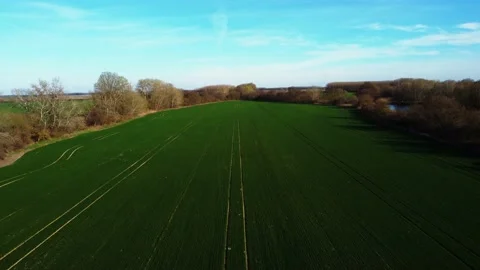 Trees by a flying drone Video stock 236989027