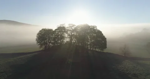 Trees in a fog covered valley Video stock 156201083