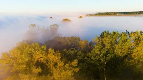 Trees, Fog 스톡 동영상 211786323