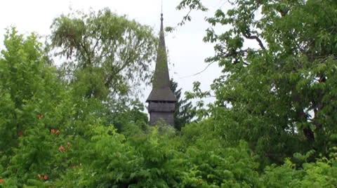 Trees Stock Footage 25042249