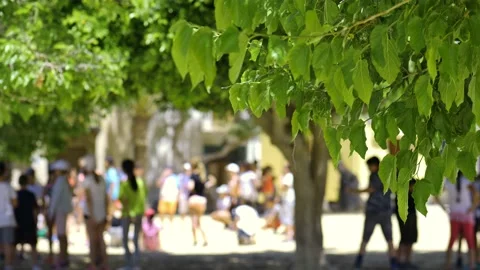 Trees in the foreground and children playing in the background. Stock Footage 152790390