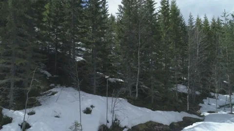 Trees in foreground then the wind turbines reveals Stock-Footage 130304169