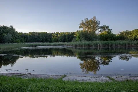 The trees in the forest and the sky reflected in the lake Stock Photos
