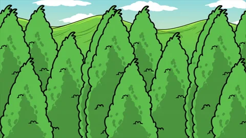 The Trees In The Forest Stock Footage 232192237