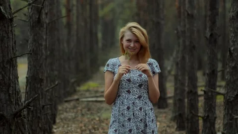 Trees in the forest form a perspective stretching into the distance and romantic Stock Footage 255074513