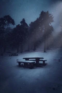 The trees in the forest Stock Photos