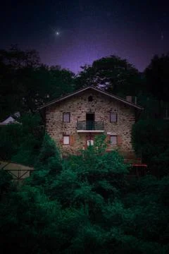 The trees in the forest Stock Photos