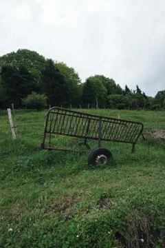 The trees in the forest Stock Photos
