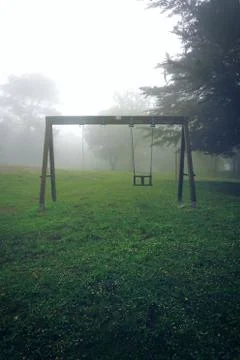 The trees in the forest Stock Photos
