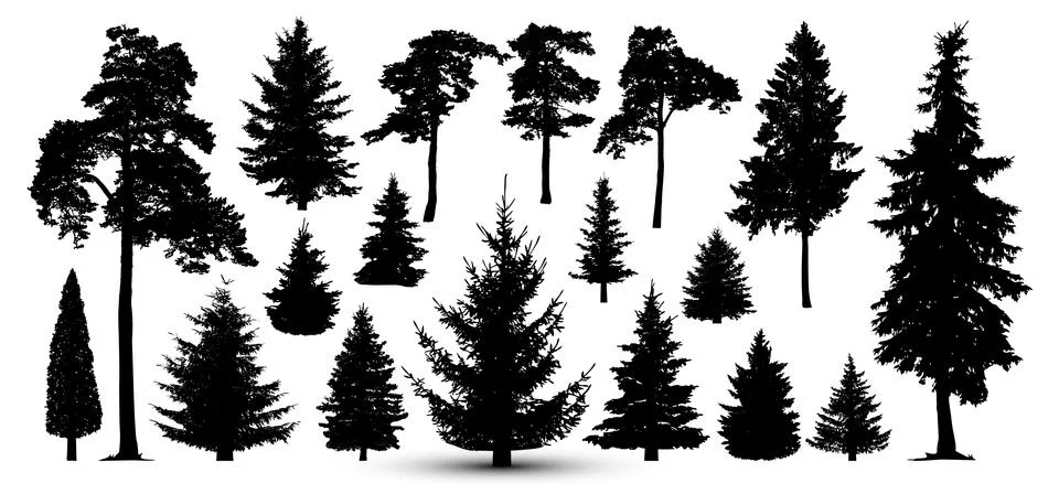 Trees forest set, vector. Silhouette of pine, spruce Stock Illustration