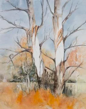 Trees in a forrest during winter Stock Illustration