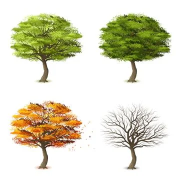 Trees in four seasons 스톡 일러스트