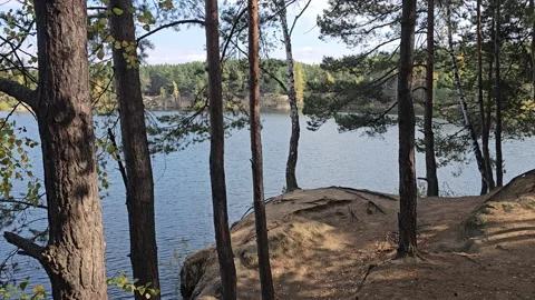 Trees frame a calm lake under bright sunlight Stockbeeldmateriaal 347500166