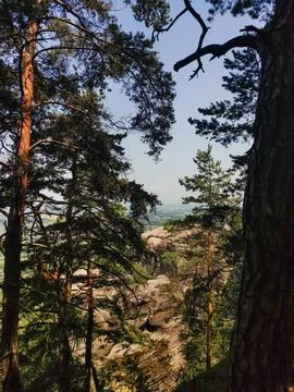 Trees frame a view of a rocky landscape in a national park Stock Photos