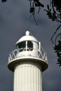 Trees frame a view of a white light house. Stock Photos