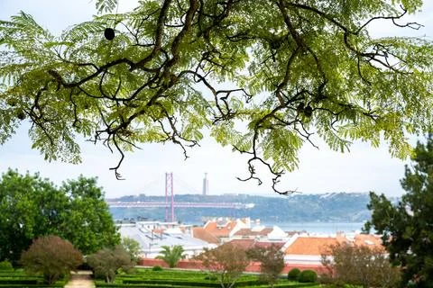 Trees framing 25 de Abril Bridge over rooftops in Belem Lisbon Portugal Foto stock