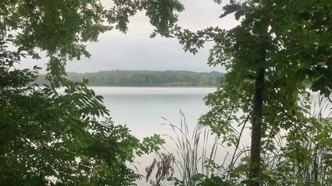 Trees Framing Lake Stock Footage 285246557