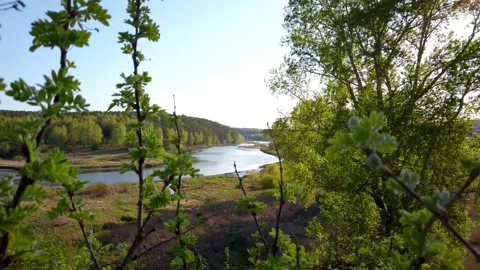 Trees Framing Lake View Stock Footage 275550858