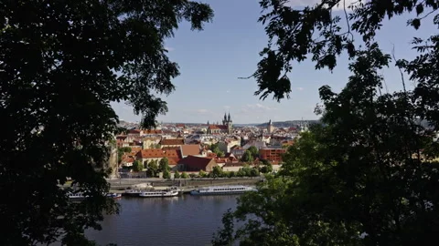 Trees Framing Prague Cityscape Across the River Stock Footage 313384920