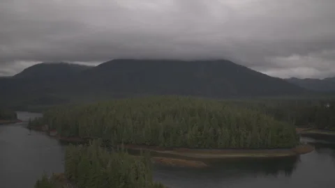 Trees in front of fog covered mountain on lake drone slow motion Stock Footage 255144261